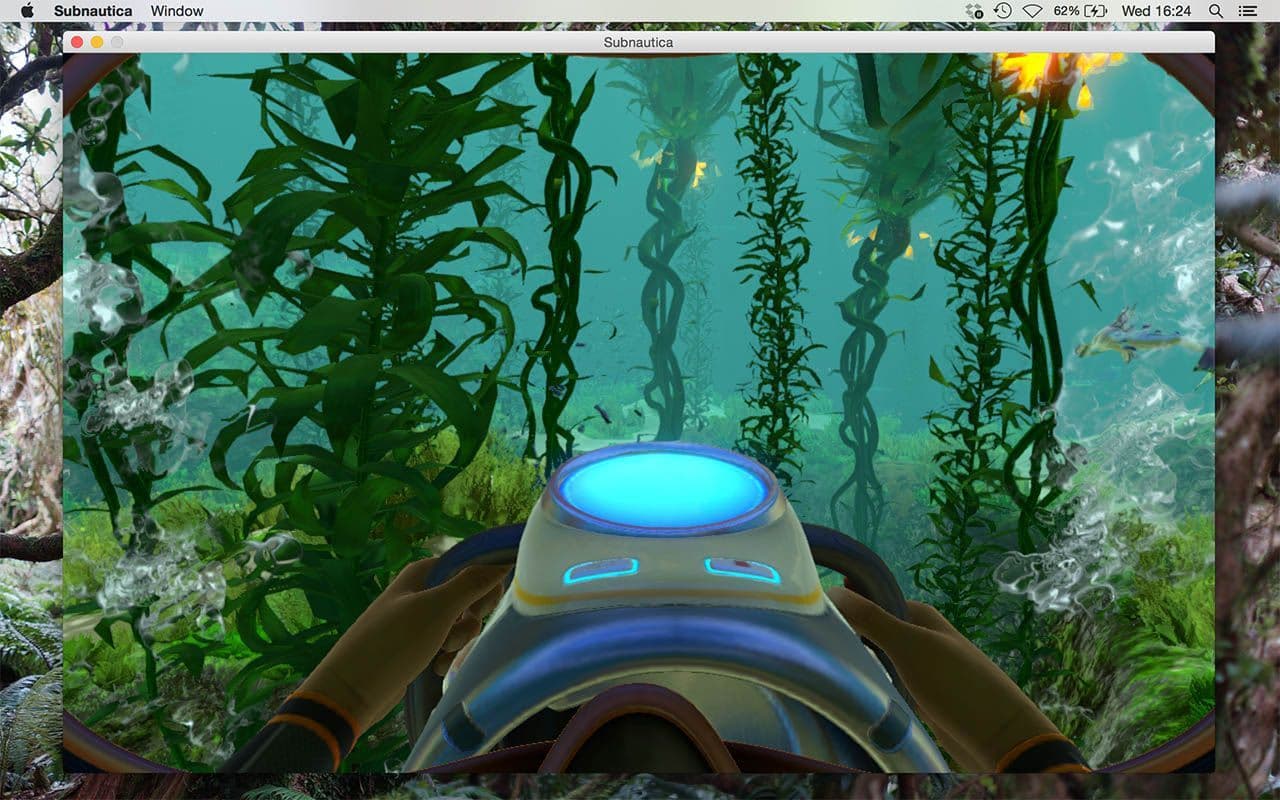 20150601_SN_OSX_KelpForest.jpg